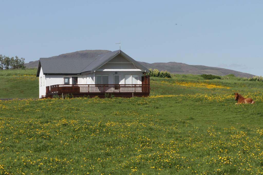 Stryta Guesthouse Hveragerdi Dış mekan fotoğraf
